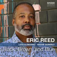 Suburban Black, Brown, and Blue