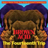 Coast2Coast Various Artists - Brown Acid: The Fourtheenth Trip (LP)