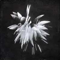 Cargo Brent Windler - New Morning Howl (LP)