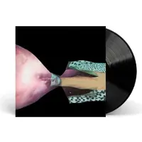 MEMBRAN Painted Shield - Painted Shield 2 (LP)