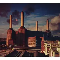 Cd Pink Floyd - Animals