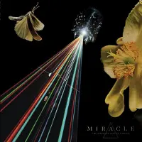 RELAP Miracle - Strife of Love In a Dream (LP)