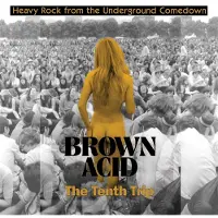 Bigwax Dis Cnt Various Artists - Brown Acid: The Tenth Trip (LP)