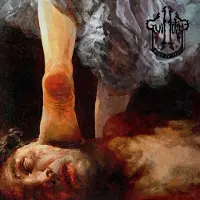 Import Born To Fall