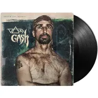 Mascot VAI/GASH