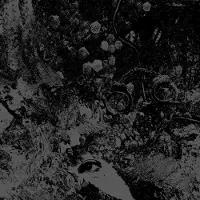 Import Primitive Man Unearthly Trance