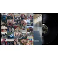 Hamstead Soundworks Countless Feelings But So Few Words