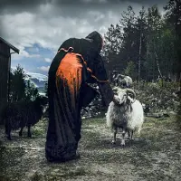 Bertus Distributie Hulders Ritual