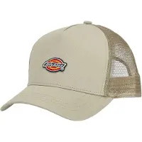 Dickies Hanston Truckercap