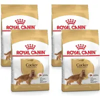 Royal Canin 4x Hondenvoer Droog Cocker Adult 3 kg