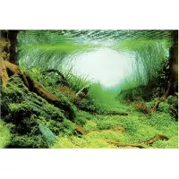 Superfish Aquarium Decoratie Poster C3 Multi 100 X 49 Cm