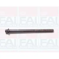FAI AutoParts B1050 Cilinderkopbouten