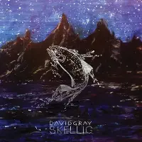 Membran 17% Fee Skellig (LP)