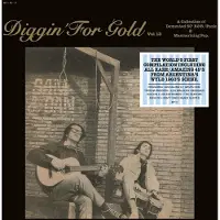 V2 Border V/A - Diggin' For Gold Vol.13 (LP)