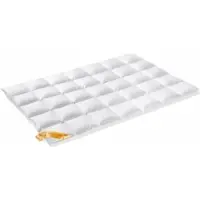Vandyck All Year Dekbed Astro 90% Ganzendons-240 x 200 cm