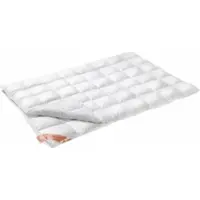 Vandyck 4 Seizoenen Dekbed Excellent Duo 95% Ganzendons-240 x 220 cm