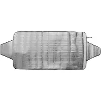 Proplus anti-ijsdeken/zonnescherm 70 x 140 cm polyester zilver