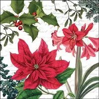 Ambiente - Lunch servetten - Christmas plants white