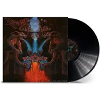 NUCLEAR BLAST LP - Like an everflowing stream - voor Geen - standaard | Maat Standard