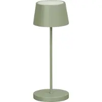 FISCHER&HONSEL GMBH Buitenlamp Asena Pro Outdoor Groen