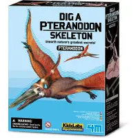 4M Graaf Je Dino Op - Pteranodon - Opgraafkit En Modelbouw Skelet - KidzLabs - 8 Jaar