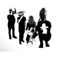 Coast2Coast Farflung - Like Drones In Honey (LP)