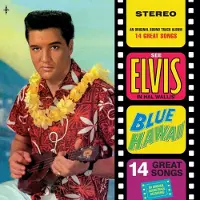 Intercord BLUE HAWAII