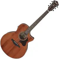 Ibanez AE140-OPN Open Pore Natural