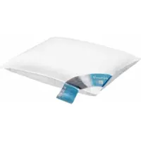 Vandyck Hoofdkussen Pure Nature Box Pillow Stevig (60 x 70 cm)