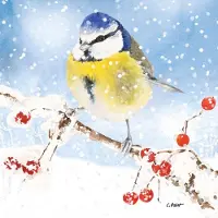 Ppd Lunch servetten Oiseau glacé - - 33x33 cm