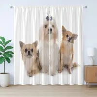 Abakuhaus Rustiek puppygordijn, Chihuahua en Maltezer, slaapkamergordijn met plooien, lussen en haken, 280 x 260 cm, wit lichtbruin