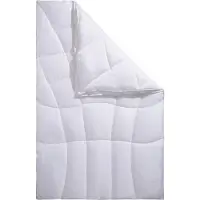 Queens - Lyocell - Dekbed - 4-seizoenen - 140x200 cm - optimale vochtregulatie