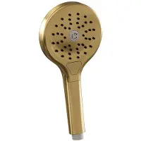 Brauer Handdouche 3 Standen Goud Geborsteld
