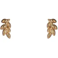 Go Dutch Label Oorknoppen Branch Stud Goudkleurig