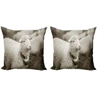 Abakuhaus Schaap-kussenhoes Set – 2x50x50 cm – Tweezijdig bedrukt – Multicolor