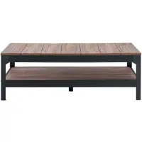 CALICOSY - Salontafel van zwart metaal en hout - L117cm