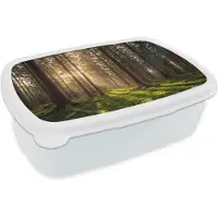 MuchoWow Broodtrommel Wit - Lunchbox Bos - Gras - Zonlicht - Brooddoos 18x12x6 cm - Brood lunch box - Broodtrommels voor kinderen en volwassenen