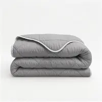 Fresh & Co Lazy Dekbed Zonder Overtrek - Grijs 200 x 200 cm