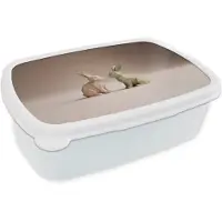 MuchoWow Broodtrommel Wit - Lunchbox Konijnen - Abstract - Bruin - Minimalistisch - Brooddoos 18x12x6 cm - Brood lunch box - Broodtrommels voor kinderen en volwassenen
