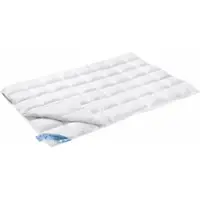 Vandyck 4 Seizoenen Dekbed Duo 65% Dons 35% Veren-240 x 200 cm