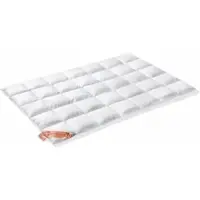Vandyck All Year Light Dekbed Excellent 450 95% Ganzendons-260 x 220 cm
