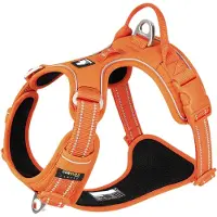 TrueLove - Hondentuigje - Hondenharnas - Anti Trek Tuigje - Reflecterend Harnas - 56-69cm - Medium - Oranje