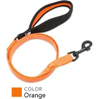 TrueLove Honden riem - UItlaten - Wandelen - Hond - Riem - Oranje