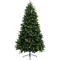 FÉÉRIC LIGHTS AND CHRISTMAS Lichtgevende Kerstboom - Ø93xH150cm - Groen