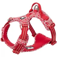 TrueLove honden tuig - Honden harnas - Tuigje - Harnas – Reflecterend - Hond - Wandelen - Rood bloem - XL