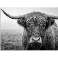 PosterMonkey Poster 120x90 cm - Schotse hooglander - Zwart - Wit - Gras - Posters - Kamer decoratie - Wanddecoratie woonkamer - Muurdecoratie slaapkamer