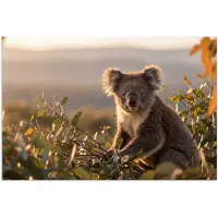 PosterMonkey Poster 60x40 cm - Koala - Bladeren - Ochtendlicht - Posters - Kamer decoratie - Wanddecoratie woonkamer - Muurdecoratie slaapkamer