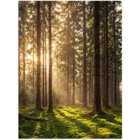 PosterMonkey Poster 90x120 cm - Bos - Gras - Zonlicht - Posters - Kamer decoratie - Wanddecoratie woonkamer - Muurdecoratie slaapkamer