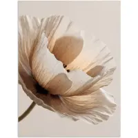 PosterMonkey Poster 30x40 cm - Bloem - Beige - Crème - Posters - Kamer decoratie - Wanddecoratie woonkamer - Muurdecoratie slaapkamer