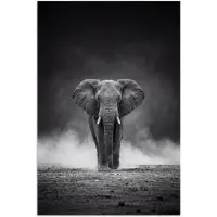 PosterMonkey Poster 40x60 cm - Olifant - Zwart - Wit - Rook - Posters - Kamer decoratie - Wanddecoratie woonkamer - Muurdecoratie slaapkamer